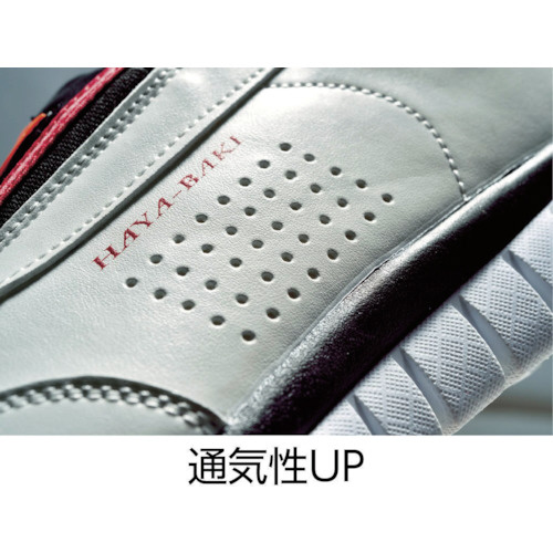 �W�[�x�b�N �Z�t�e�B�V���[�Y �W�T�P�Q�W �z���C�g �Q�T�D�O�b�l �W�T�P�Q�W�|�R�Q�|�Q�T�O_4