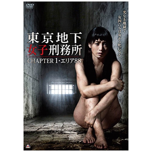 東京地下女子刑務所 国内送料無料 CHAPTER1 エリア88 全品最安値に挑戦 DVD