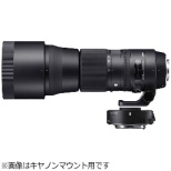 JY 150-600mm F5-6.3 DG OS HSM+TELECONVERTER TC-1401Lbg Contemporary ubN [jRF /Y[Y]