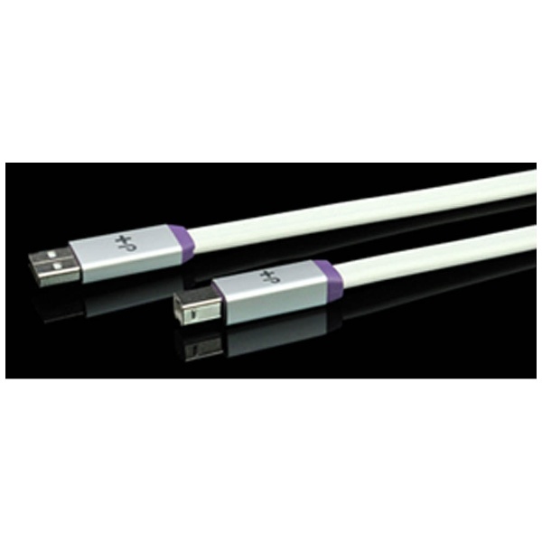 オーディオ用USB2.0ケーブル【A】⇔【B】（1.0m） DGI-K2 Silver 1.0