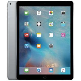 iPad Pro 12.9C` RetinafBXvC Wi-Fif ML0T2J/A i256GBEXy[XOCj