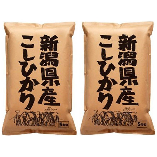 新潟県産こしひかり 10kg（5kg×2袋）【お米】