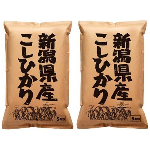 ネット限定]　新潟県産こしひかり　通販　10kg（5kg×2袋）【お米】　産地直送ギフト
