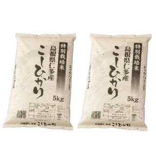 特別栽培米 島根県仁多産こしひかり 10kg（5kg×2袋）【お米】