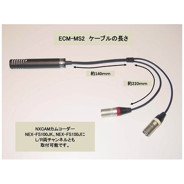 エレクトレットコンデンサーマイクロホン ECM-MS2 ソニー｜SONY 通販