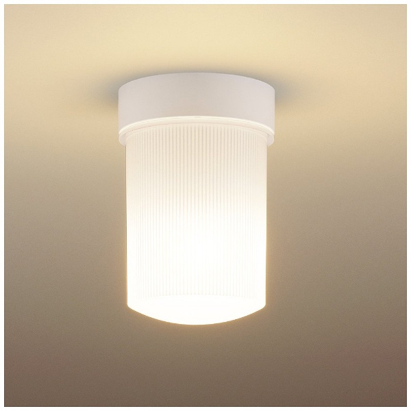 LEDシーリングライト HH-SB0023L [電球色 /防湿型 /電気工事必要