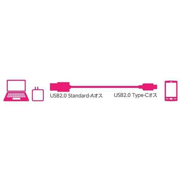 USBP[u USBiA-Cj Fؕi 3.0m ubN_3