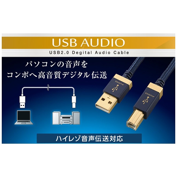USB AUDIOケーブル (USB A-USB B/1.0m) DH-AB10 エレコム｜ELECOM 通販