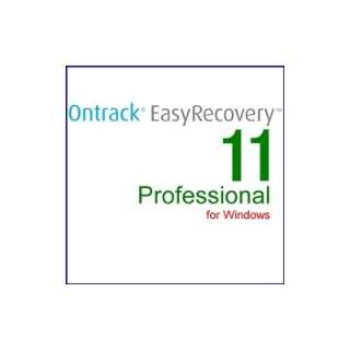 Ontrack EasyRecovery 11 Professional for Windows ʏŁy_E[hŁz_1