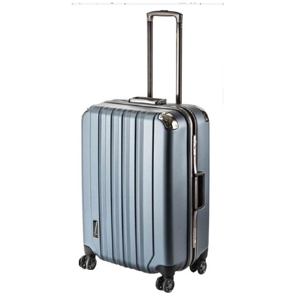 スーツケース 76L CLASSIC FLIGHT（クラシックフライト） シルバー 