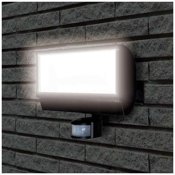LEDセンサーライト（1500lm） ブラック ESL-W2801AC [白色 /コンセント