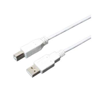 1.0m zCg[USB AUSB B] P[u@USB-N10/WH