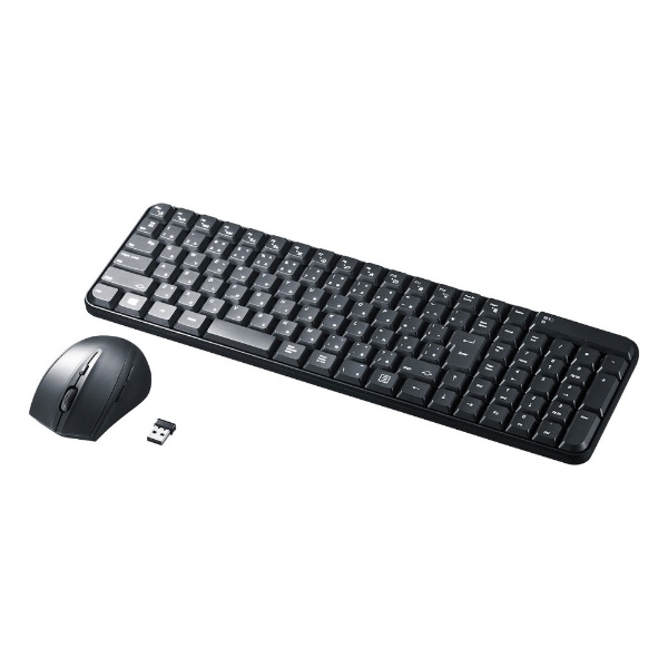 ワイヤレスキーボード・マウス ブラック SKB-WL25SETBK [USB /ワイヤレス]
