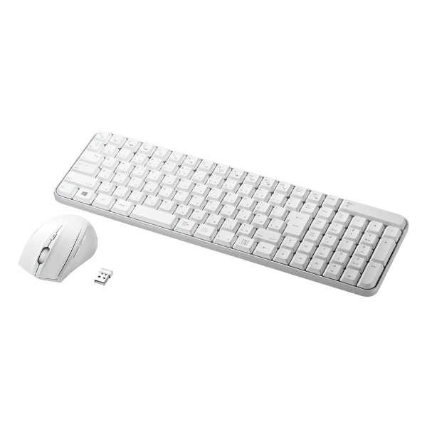 ワイヤレスキーボード・マウス ホワイト SKB-WL25SETW [USB /ワイヤレス]