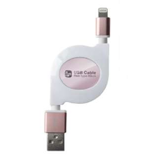 mCgjOn USB[d&P[u [ 80cm LN RG [0.8m]_1