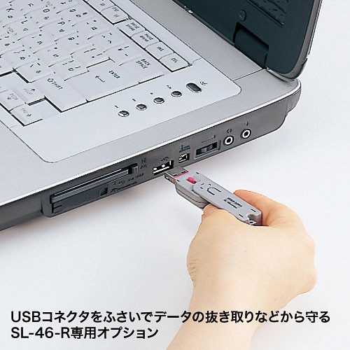サンワサプライ [SL-46-D] USBコネクタ取付けセキュリティ - ウィルス