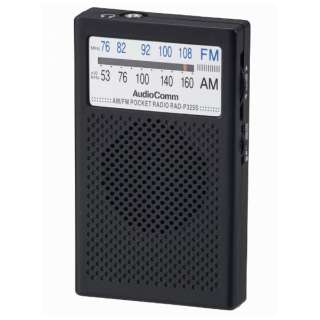 RAD-P325S gуWI AudioComm ubN [AM/FM /ChFMΉ]