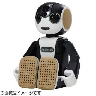 供RoBoHoN使用的机器人电话服装鞋底席(点·BRAUN)[SR-SL01]
