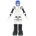 DMM.make ROBOTS[之前佣人ＡＩ世界最高水平舞蹈交流机器人][RBHM0000000445731927][STEM教育]