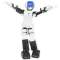 DMM.make ROBOTS[之前佣人ＡＩ世界最高水平舞蹈交流机器人][RBHM0000000445731927][STEM教育]_2