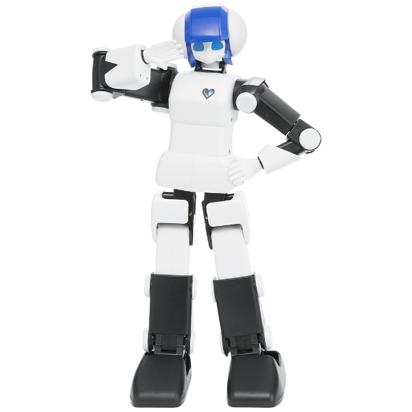 DMM.make ROBOTS ［プリメイドAI 世界最高水準 ダンス