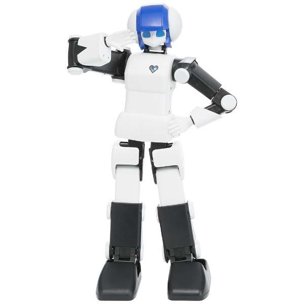 DMM.make ROBOTS[之前佣人ＡＩ世界最高水平舞蹈交流机器人][RBHM0000000445731927][STEM教育]_6