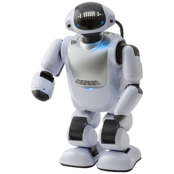 DMM．make ROBOTS コミュニケーションロボット Palmi rbHM