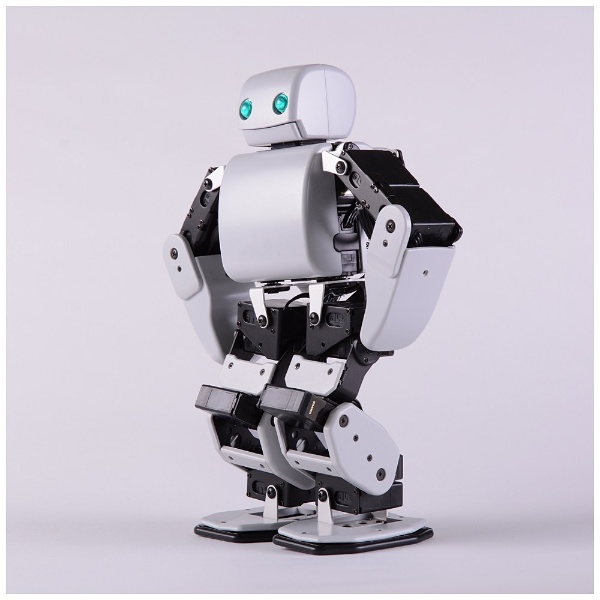 DMM.make ROBOTS ［Plen D　運動神経バツグンのロボット］ ［RBHM0000000345731927］【STEM教育】