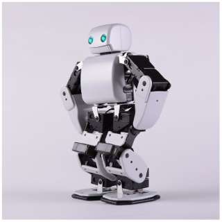 DMM.make ROBOTS[Plen D运动神经超群的机器人][RBHM0000000345731927][STEM教育]