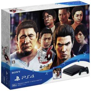 PlayStation 4 (vCXe[V4) @6 Starter Limited Pack [Q[@{]