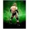 S.H.Figuarts WWE Triple H_3