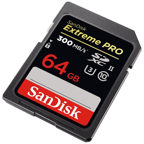 SanDisk SDSDXPK-064G-JNJIP