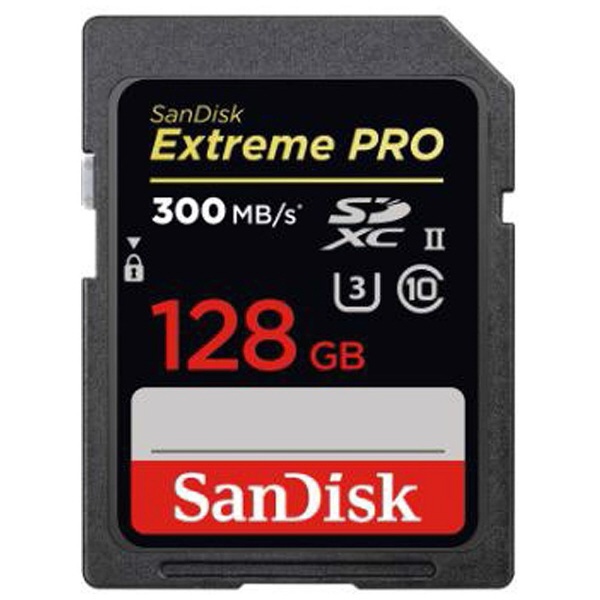 SanDisk SDXCカード SDSDXPK-128G-JNJIP