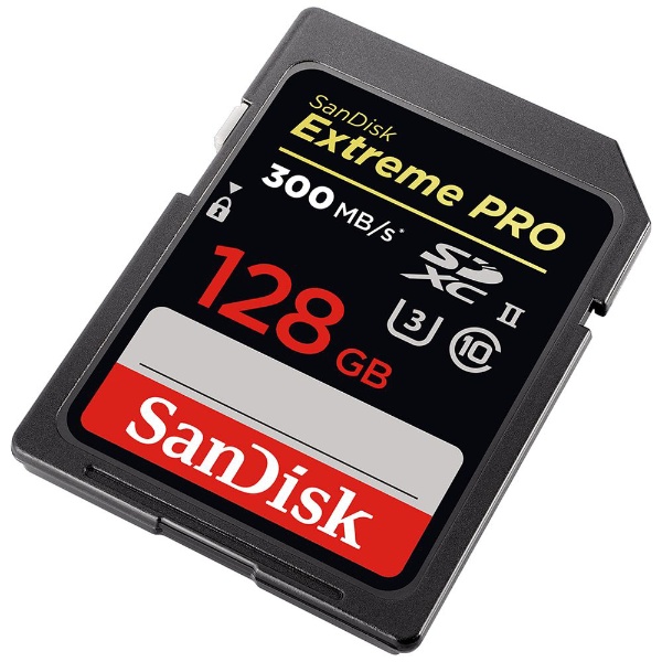 【新品未開封】SanDisk SDSDXPK-128G-JNJIP
