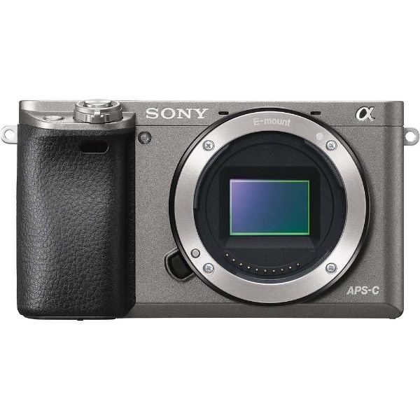 SONY α6000 ILCE-6000Y 付属品のみ - デジタルカメラ