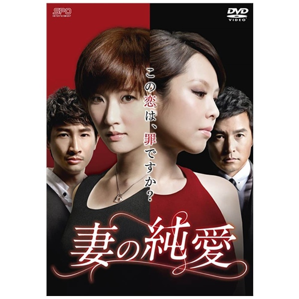 妻の純愛 DVD-BOX1