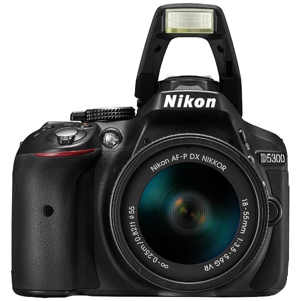 Nikon ニコンD5300 AF-Pダブルズームキット360ショット極美品