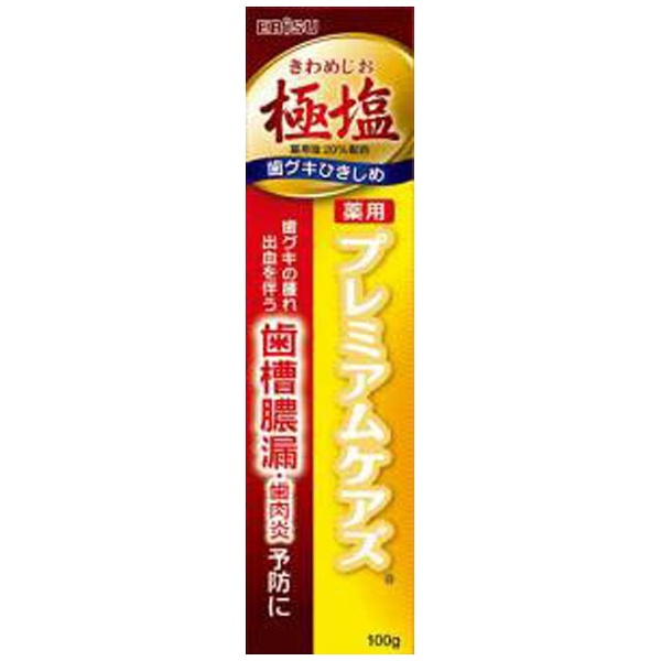 歯磨き粉 極塩 薬用プレミアムケアズ 100g