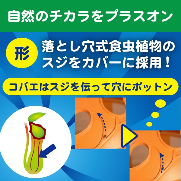 数量限定】コバエがポットン 置くタイプ 2個入 2個入り 大日本除虫菊
