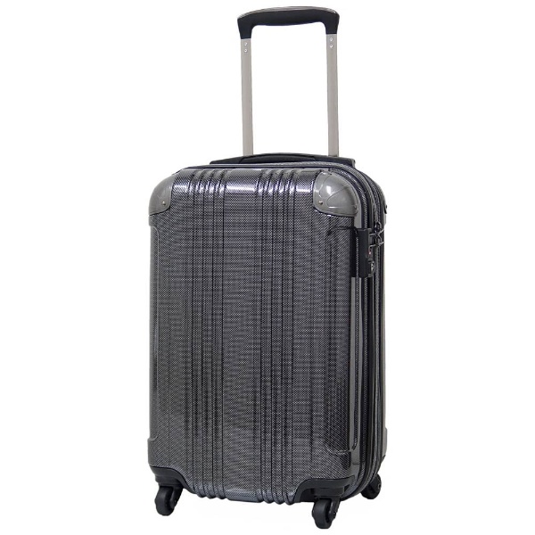 スーツケース ハードキャリー 66L カーボンブラック ALI-6008-24 [TSA 