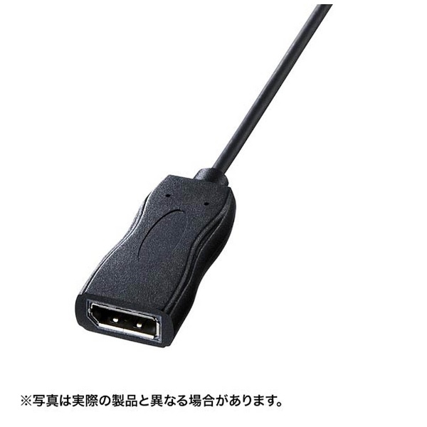 サンワサプライ AD-DPDVA01(ブラック) DisplayPort-DVI変換アダプタ