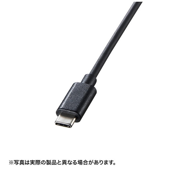 サンワサプライ AD-DPDVA01(ブラック) DisplayPort-DVI変換アダプタ 0.1m