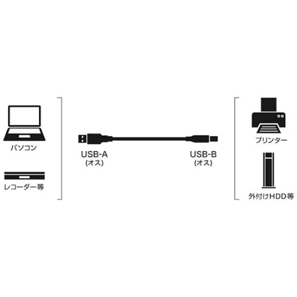 3.0mmUSB-A  USB-Bn2.0P[u X^Cv ubN@USBN30SBK_2