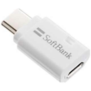 2.0变换适配器充电、转送SoftBank SELECTION SB-CA45-CBAD