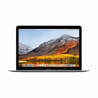 MacBook 12インチ[2017年/SSD 256GB/メモリ 8GB/1.2GHzデュアルコアCore m3]スペースグレイ MNYF2J/A