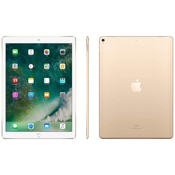 安い超激得Apple MPL12J/A iPad Pro Wi-Fi 512GB ゴールド 店舗受取可 iPad本体