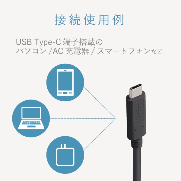 USB-C ⇔ USB-Cケーブル [充電 /転送 /2m /USB Power Delivery /60W