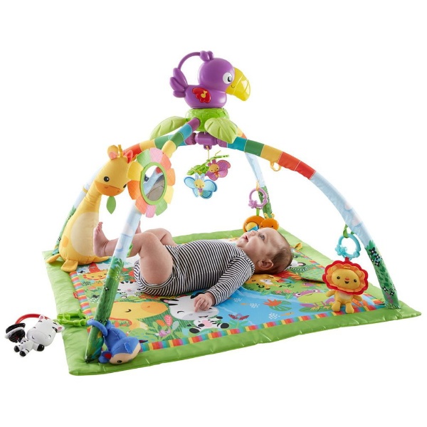 fisher price deluxe play gym