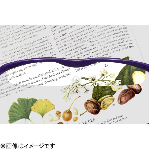Hazuki ハズキルーペ クール（紫）カラーレンズ 1.6倍