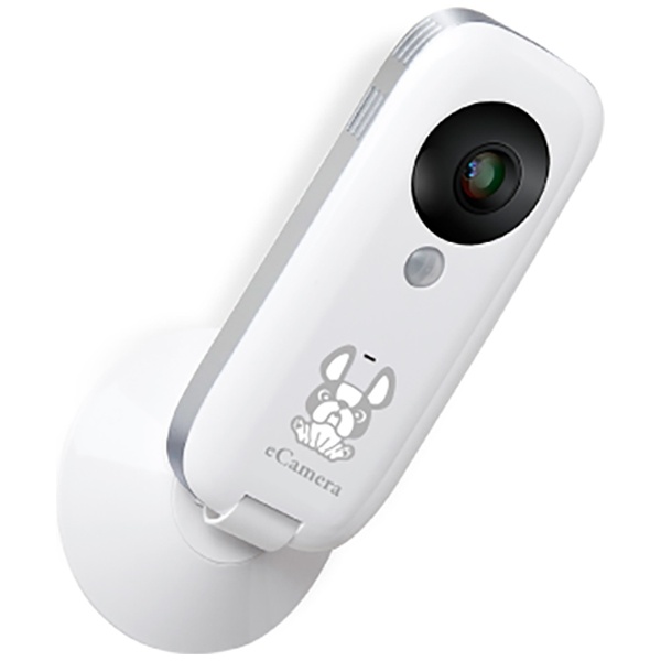 ネットワークカメラ eCamera I2 [iOS/Android OS対応] リンクジャパン 